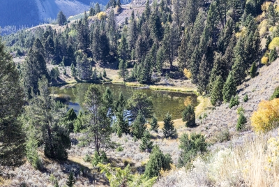 Grand Loop Mammoth Yellowstone NP 2024